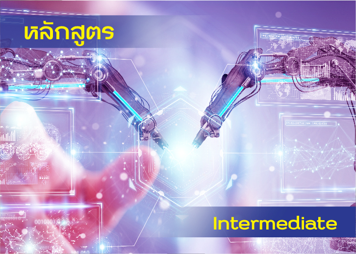 Co-Robotics : Intermediate